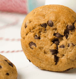 Vegan Chocolate Chip Cookie, gourmet large vegan chocolate chip cookie gift box