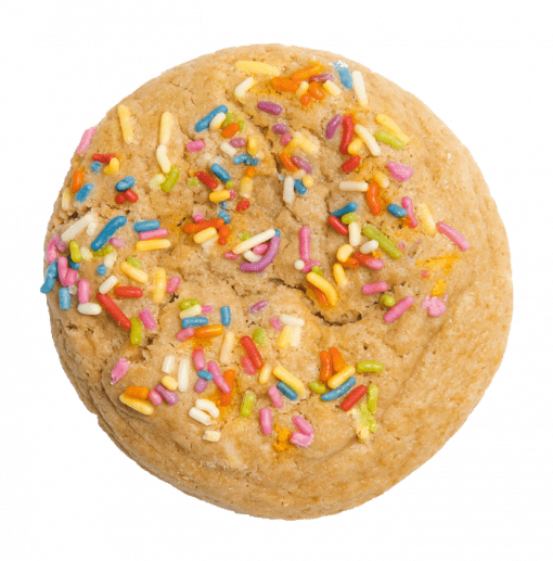Large Rainbow Sprinkle Sugar Cookie