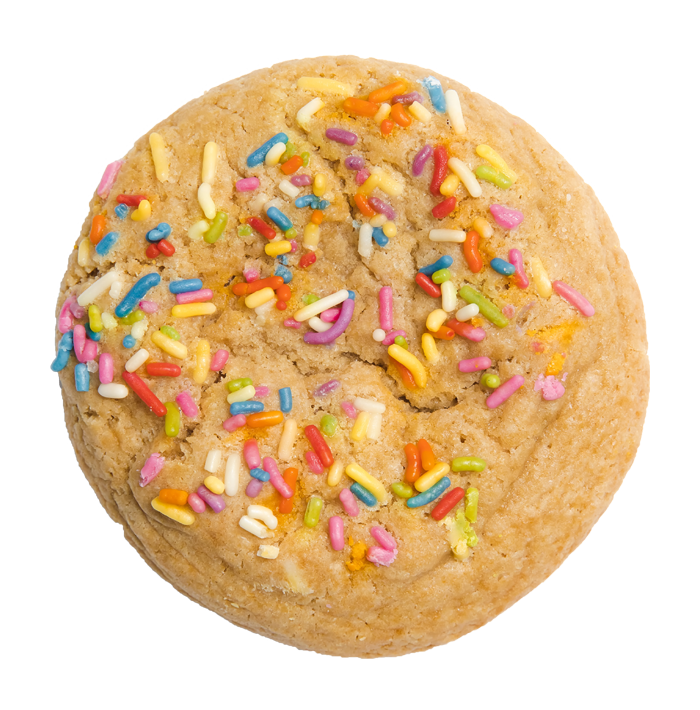 BIG Rainbow Sprinkle Sugar