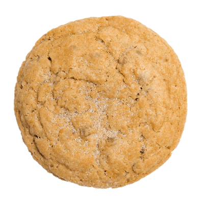 Big Snickerdoodle cookies