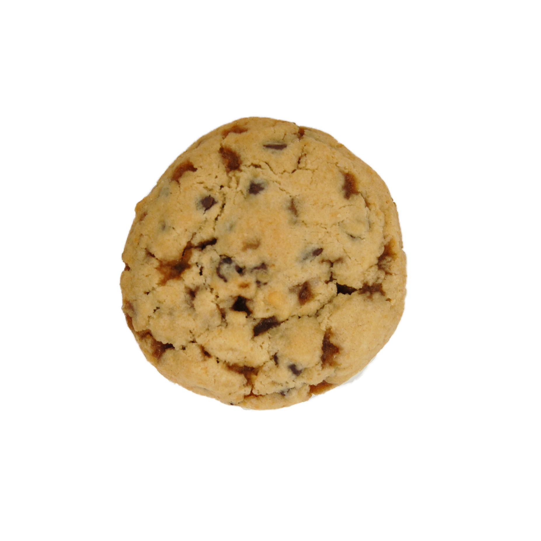 Chocolate Chip